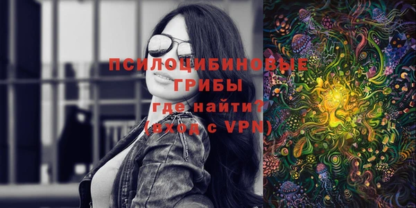 героин Алексин
