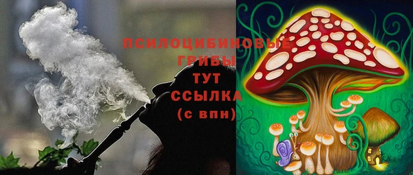 героин Алексин
