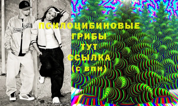 крисы Приозерск