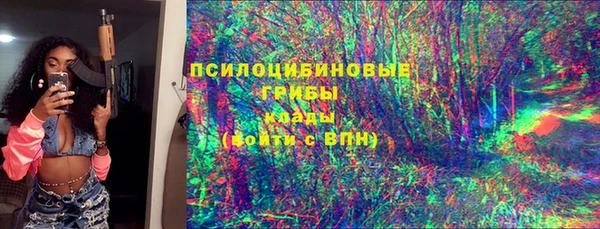 героин Алексин