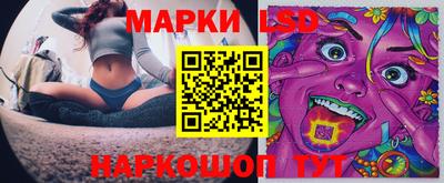 стаф Будённовск