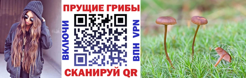 Галлюциногенные грибы мухоморы  Кириши 