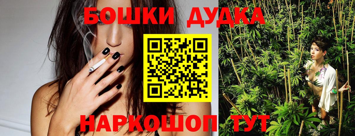 Бошки Шишки план Кириши